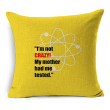 Load image into Gallery viewer, The Big Bang Theory Pillow