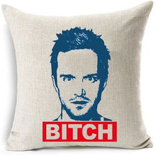 Load image into Gallery viewer, Breaking Bad Pillow